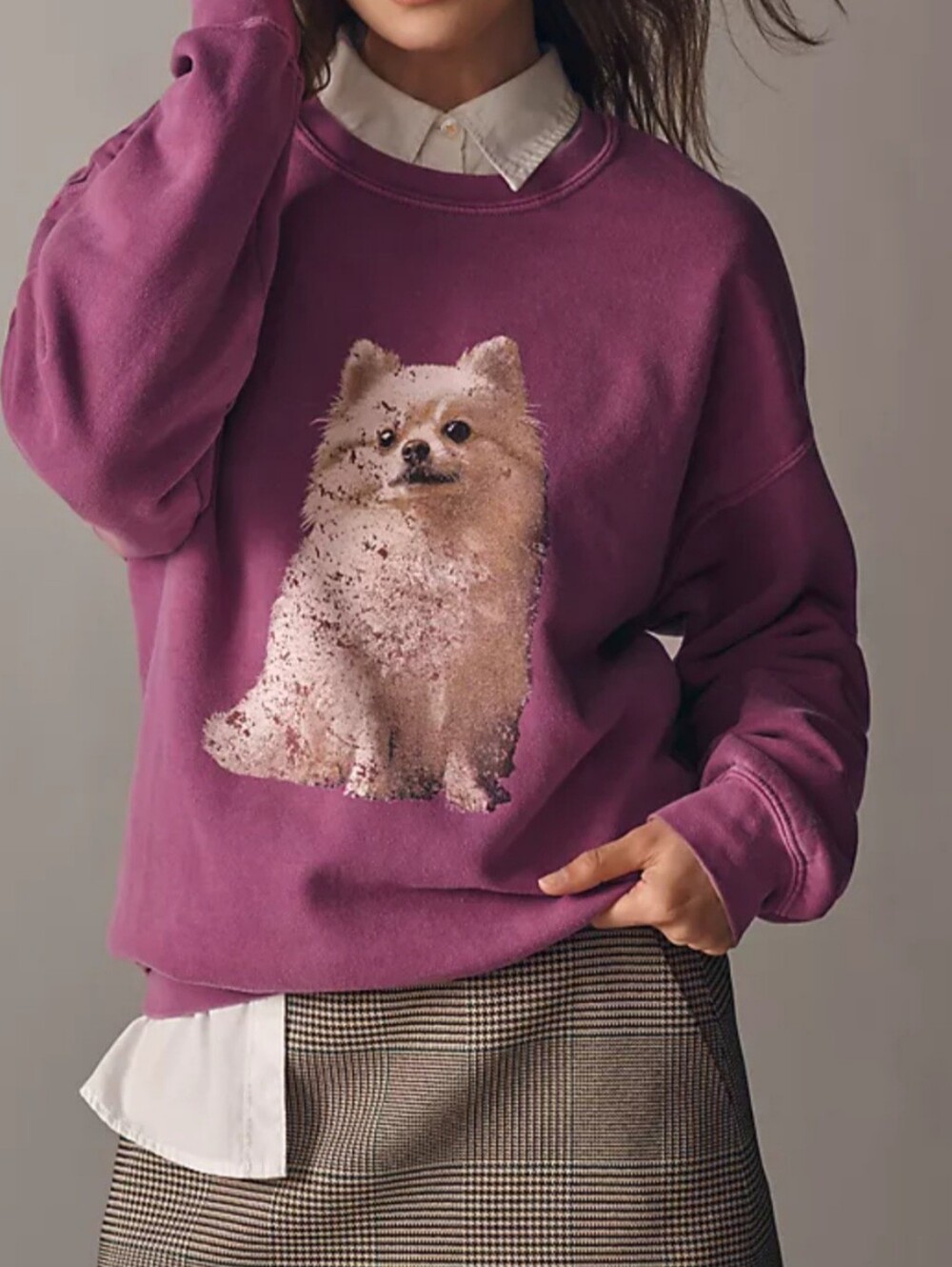 Anthropologie Dog Design Sweatshirt. Pullover